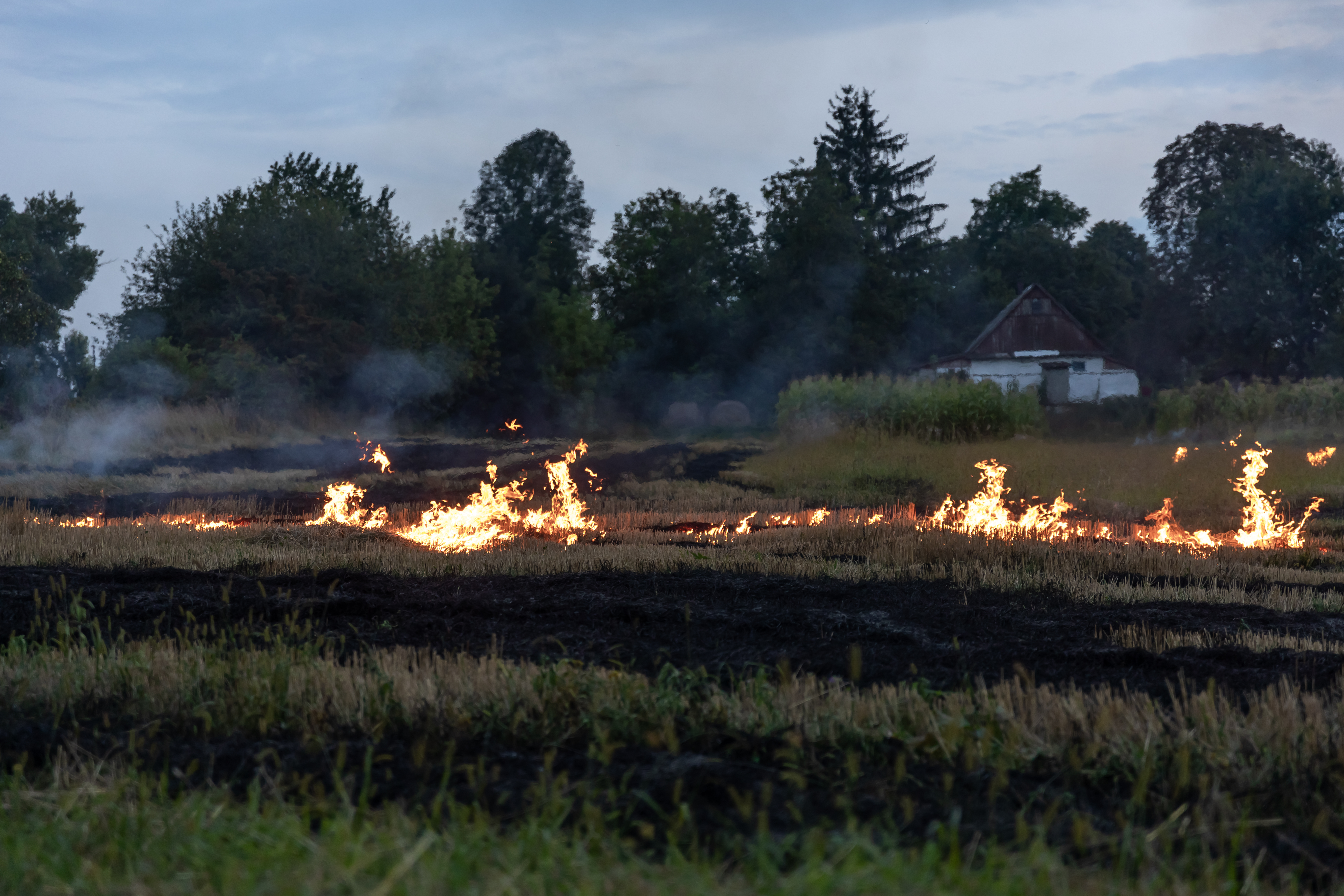 В Костромской области внезапно вспыхнул ещё один природный пожар