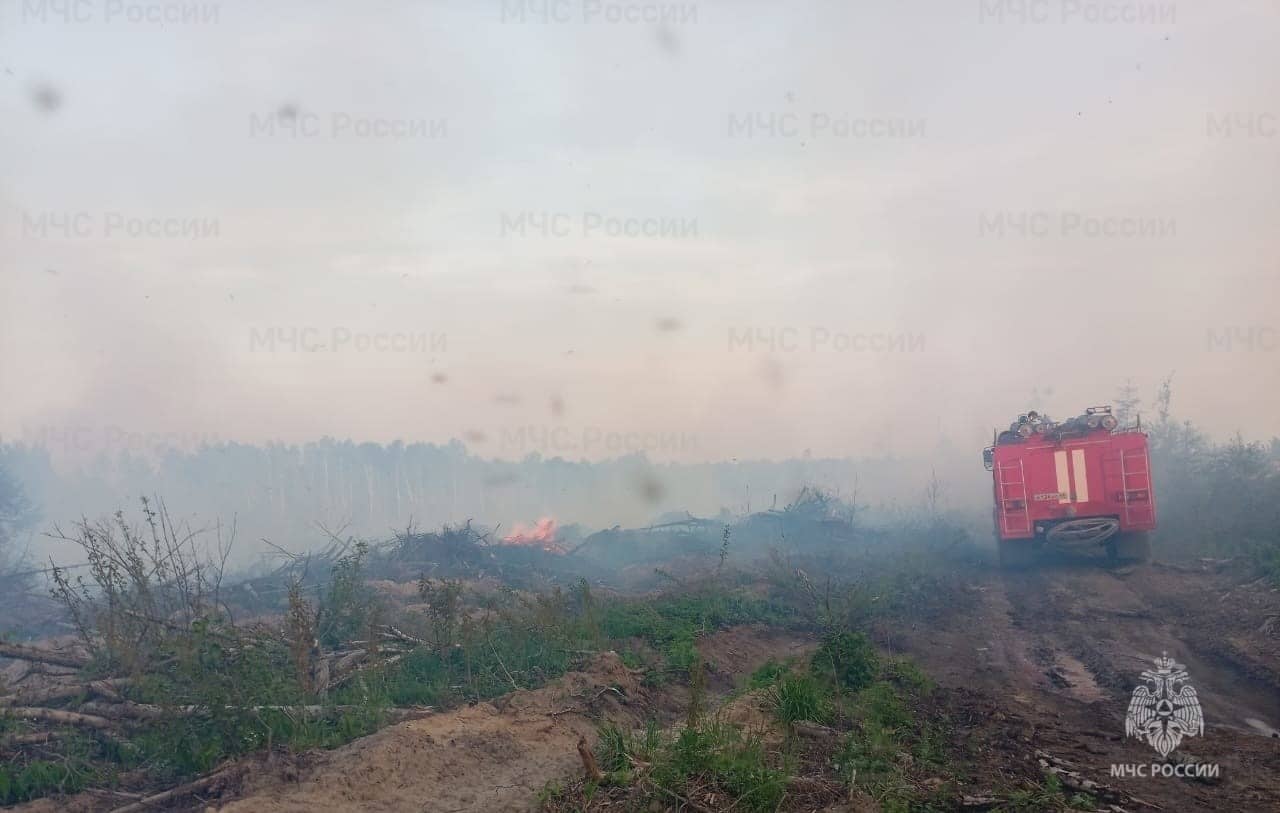 За неделю в Костромской области произошло 20 пожаров