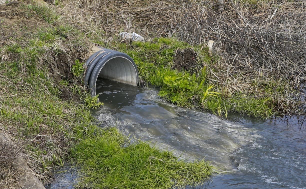 Костромичи жалуются на экологическую проблему из-за стока канализации в пруды
