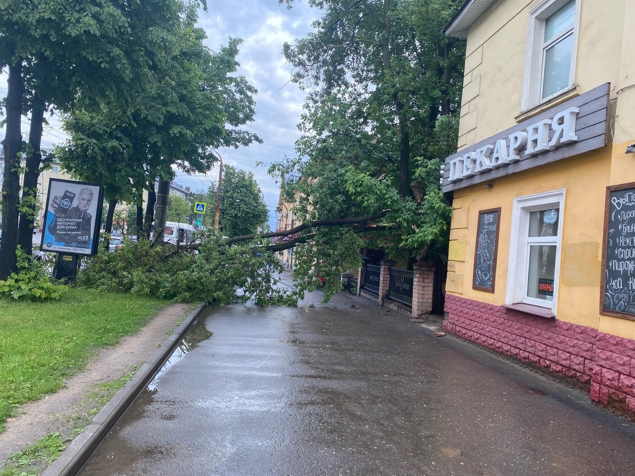 Деревья и провода вырывало с корнем из-за сильнейшей грозы в Костроме