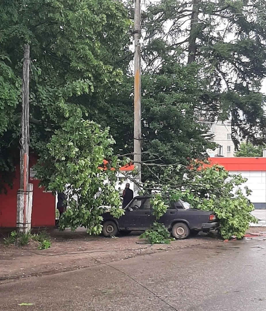 Деревья и провода вырывало с корнем из-за сильнейшей грозы в Костроме