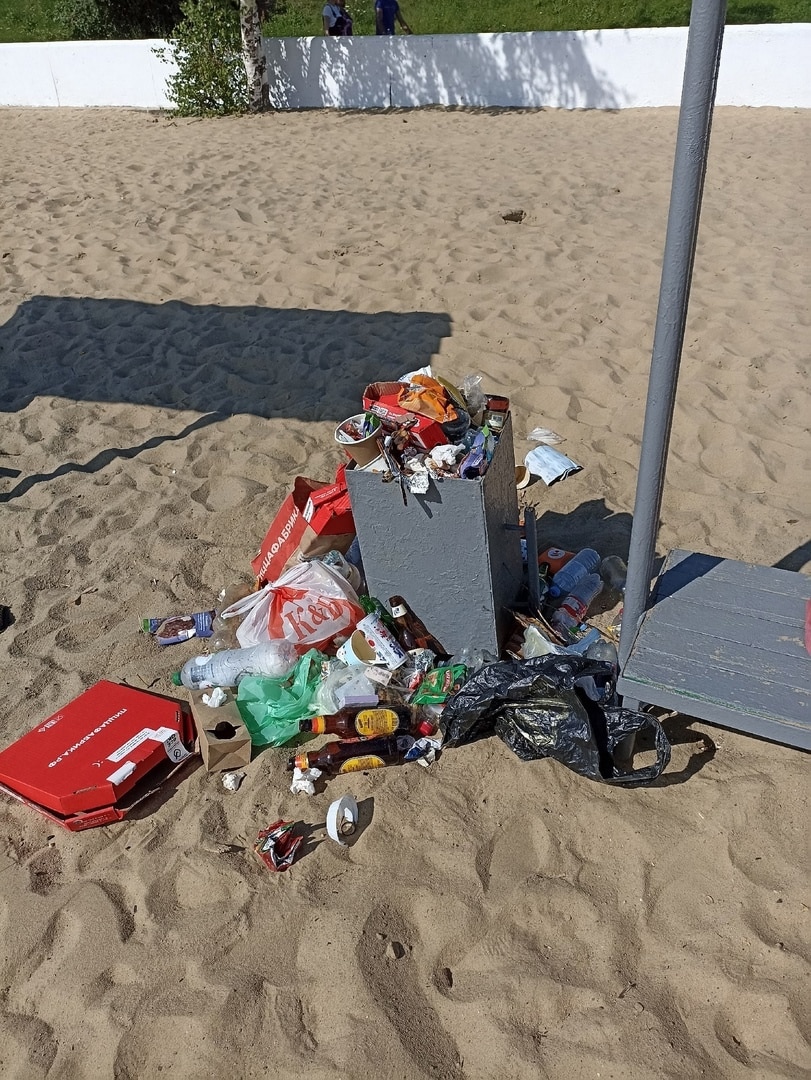 Костромичи жалуются на «детский пляж с трупами чаек» и лавочки для гномов