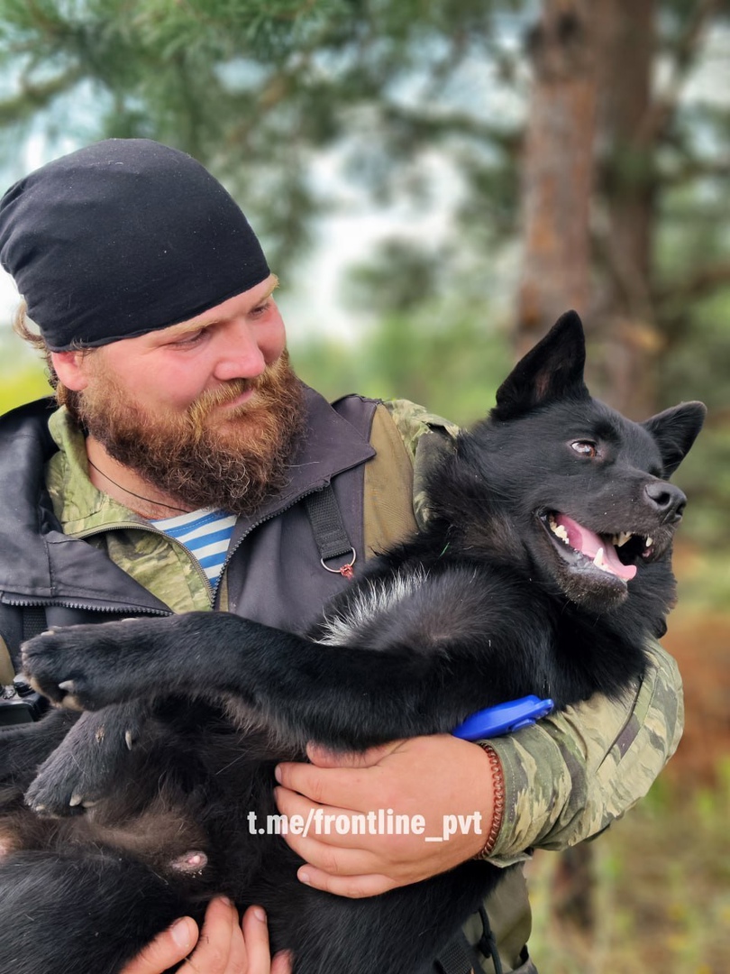 Первую в мире собаку для поиска беспилотников подготовили в Костроме