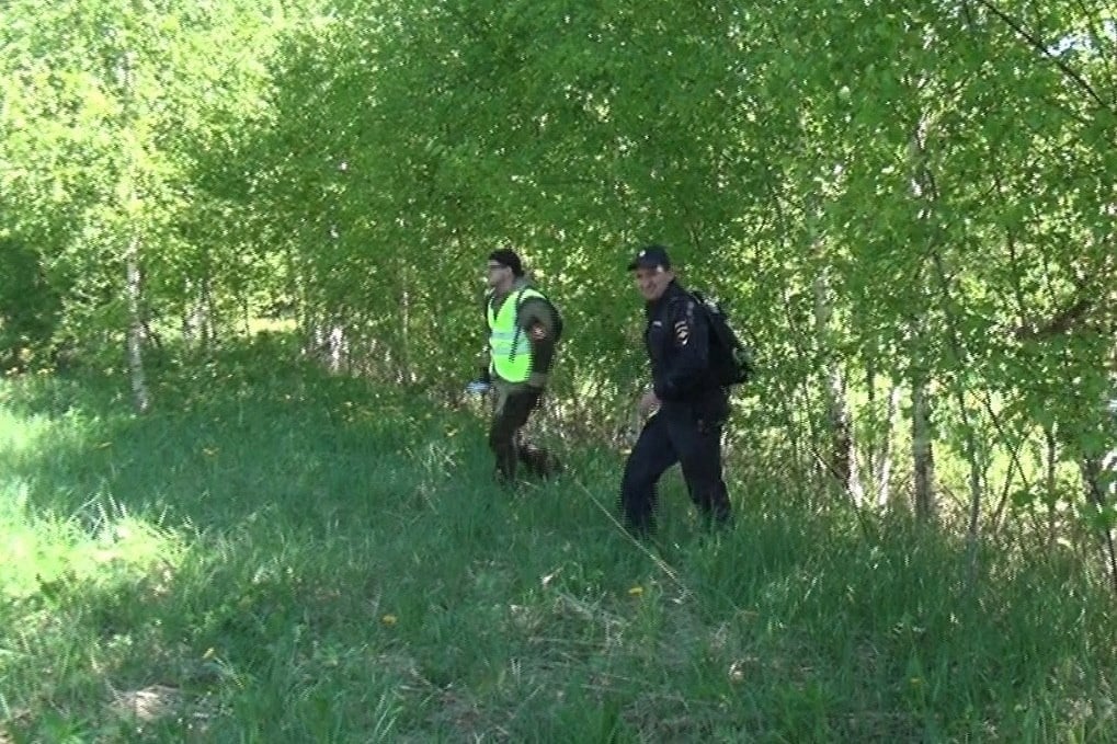 Зять потерял свою тёщу в дремучем костромском лесу