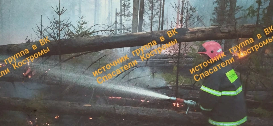 В костромском районе горит лес