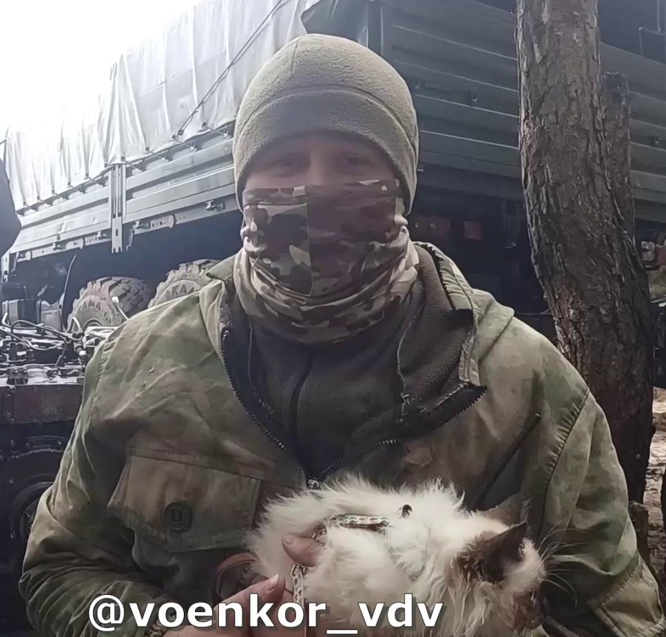 Десантники-артиллеристы передали привет Костроме из зоны СВО