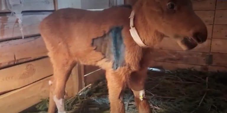 Мое горе стрела во мне чужое горе стрела во пне. Нескользящие накладки на стулья. Подставил под ноги. Жвачка на тротуаре. Жвачка прилипшая к подошве.