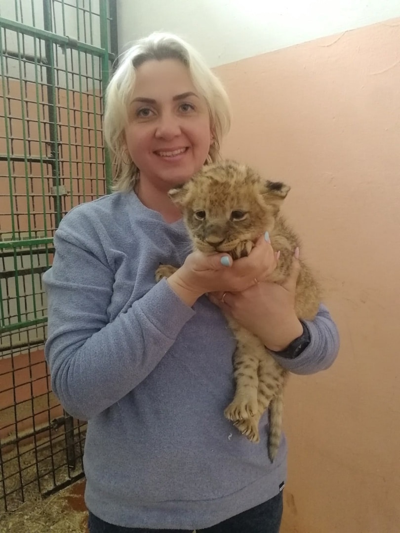 Всё началось с любви: костромской ветеринар Екатерина Русакова рассказала о работе с дикими животными