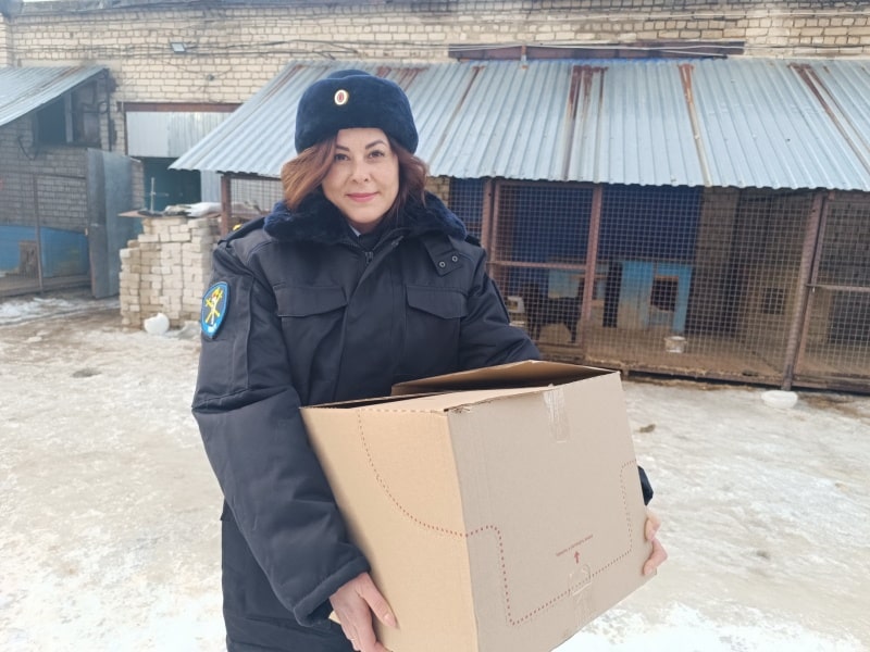 Костромские полицейские крепко обнимались с бездомными котиками