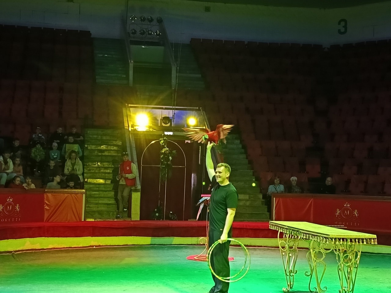 Попугаи, хаски и воздушные гимнастки: на арене Костромского цирка провели открытую репетицию