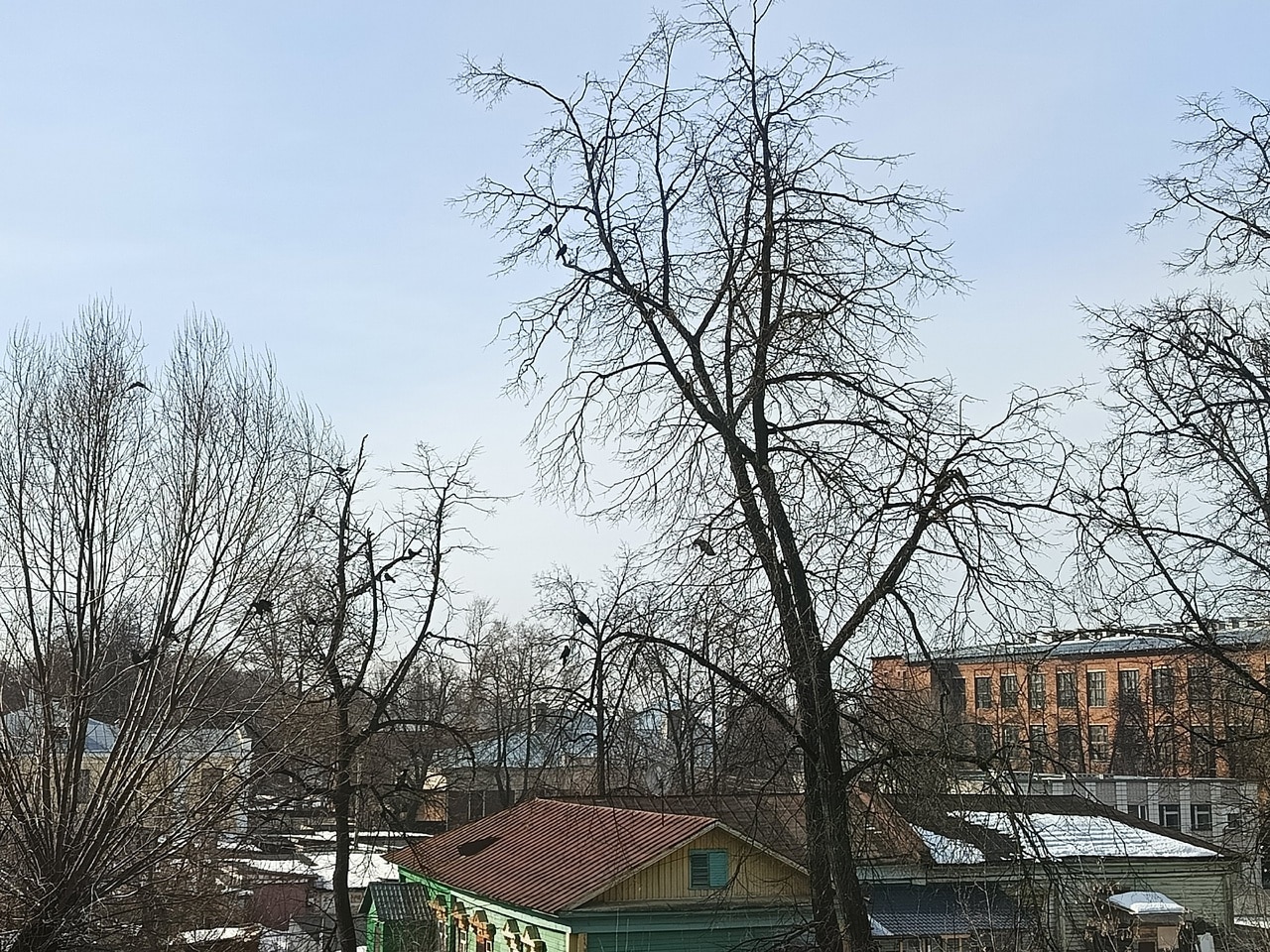 Вместе с весной в Костромской области проснулись животные и птицы