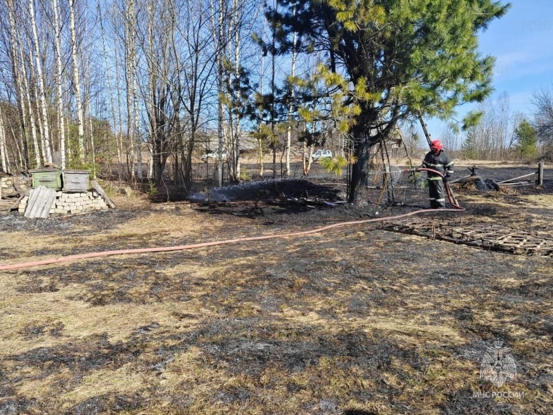 84-пенсионер под Костромой получил страшные ожоги из-за пала травы