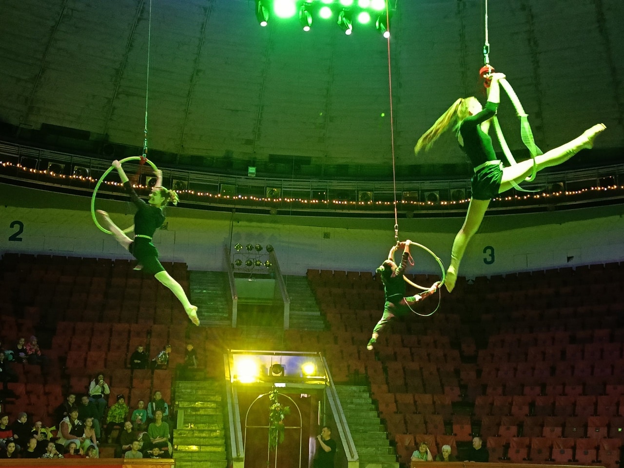 Попугаи, хаски и воздушные гимнастки: на арене Костромского цирка провели открытую репетицию
