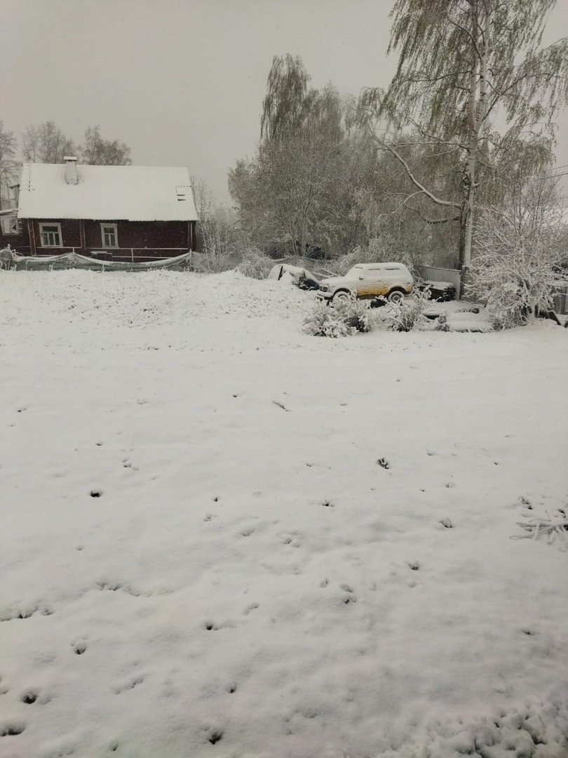 Костромскую область за ночь замело снегом