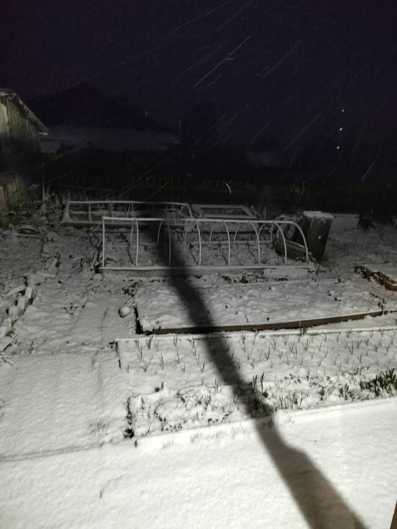 Костромскую область ночью завалило снегом