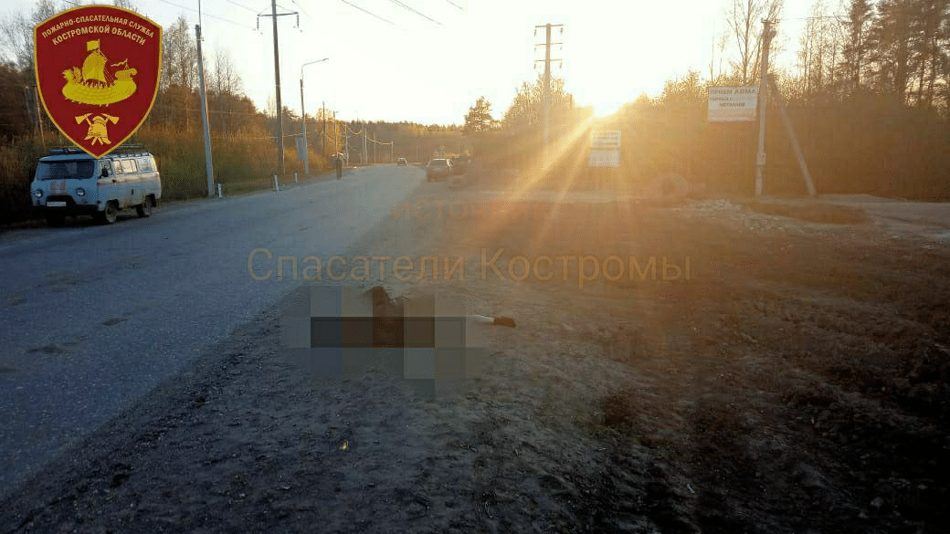 На автодороге Кострома-Буй насмерть сбили велосипедиста