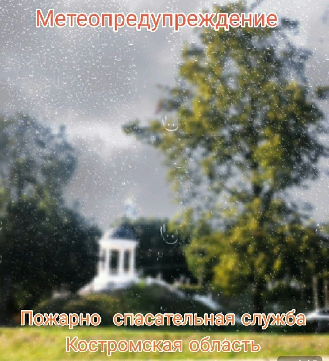 Кострому накрыло дождем с порывами ветра 12-17 м/с