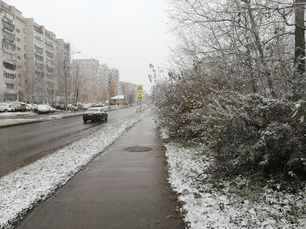 В Костроме 1 ноября выпал первый снег