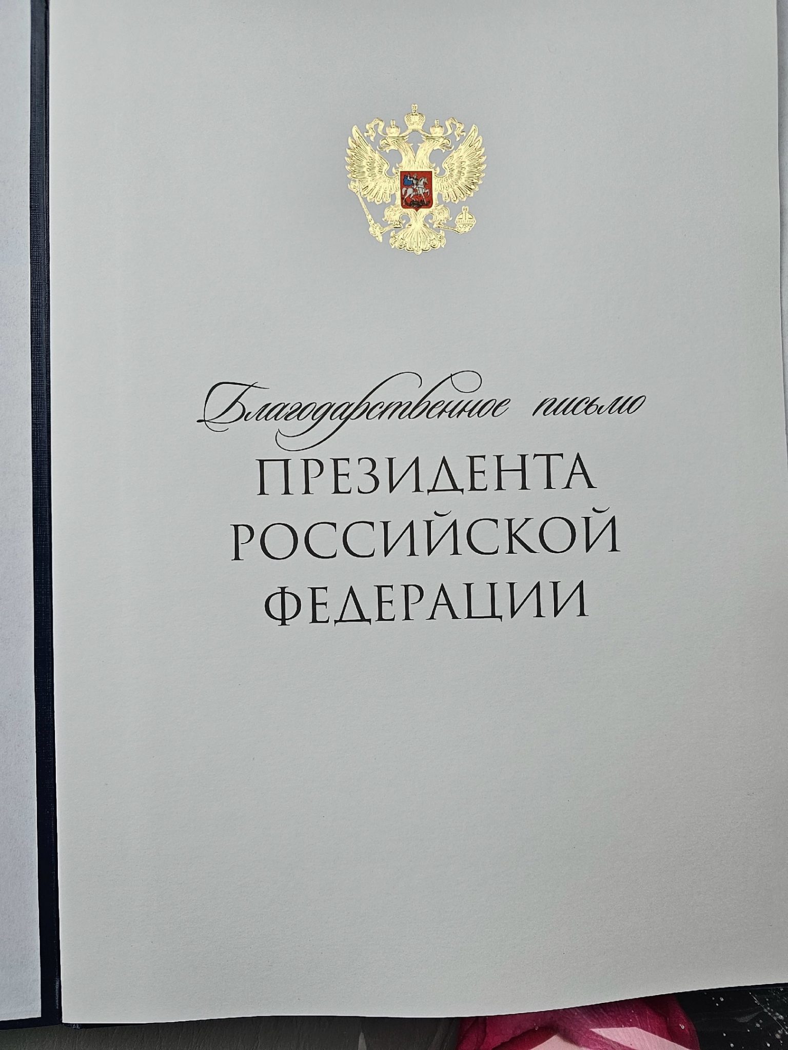 "Я - русская. И я хочу помогать" - костромичка отправила на фронт тонны гуманитарной помощи