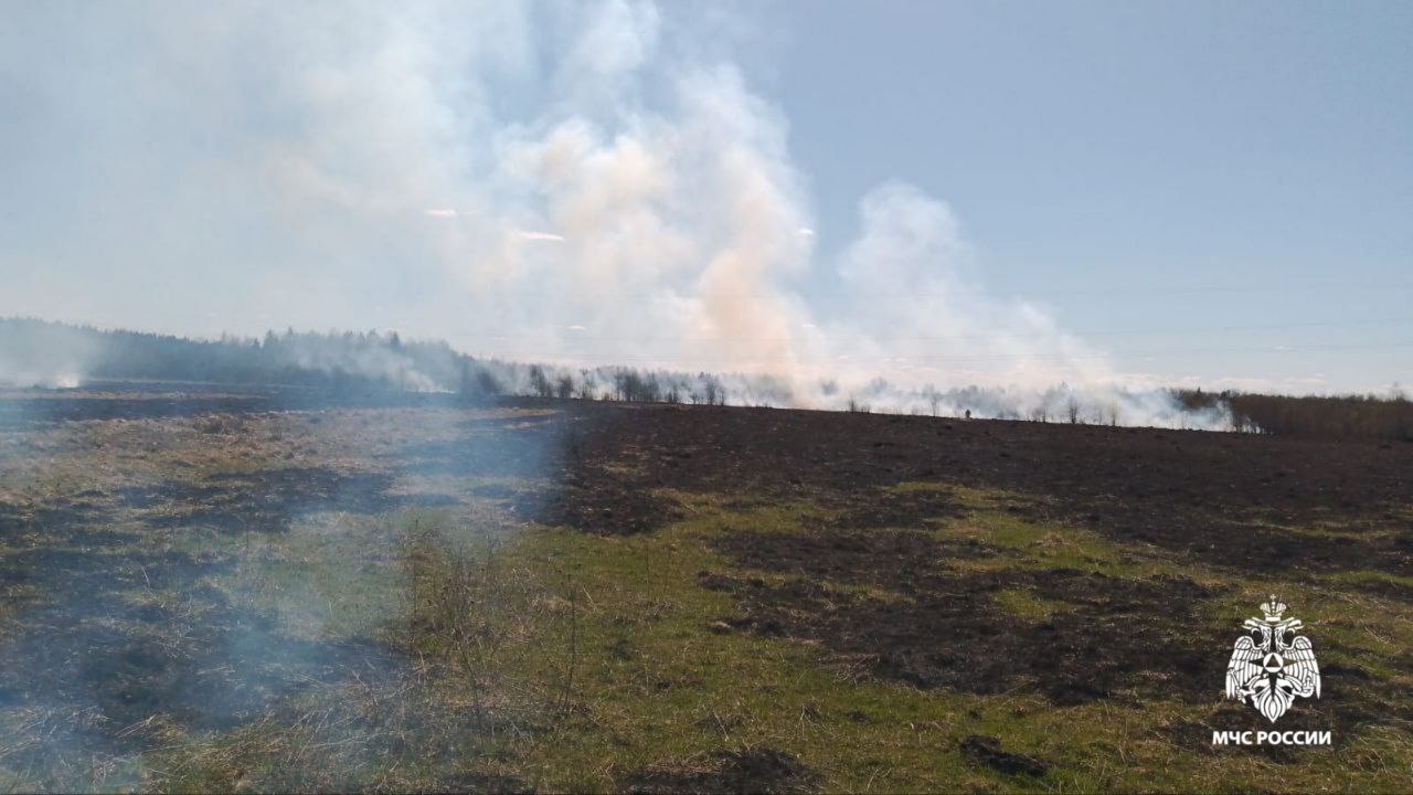 Костромичи спалили полтора гектара полей