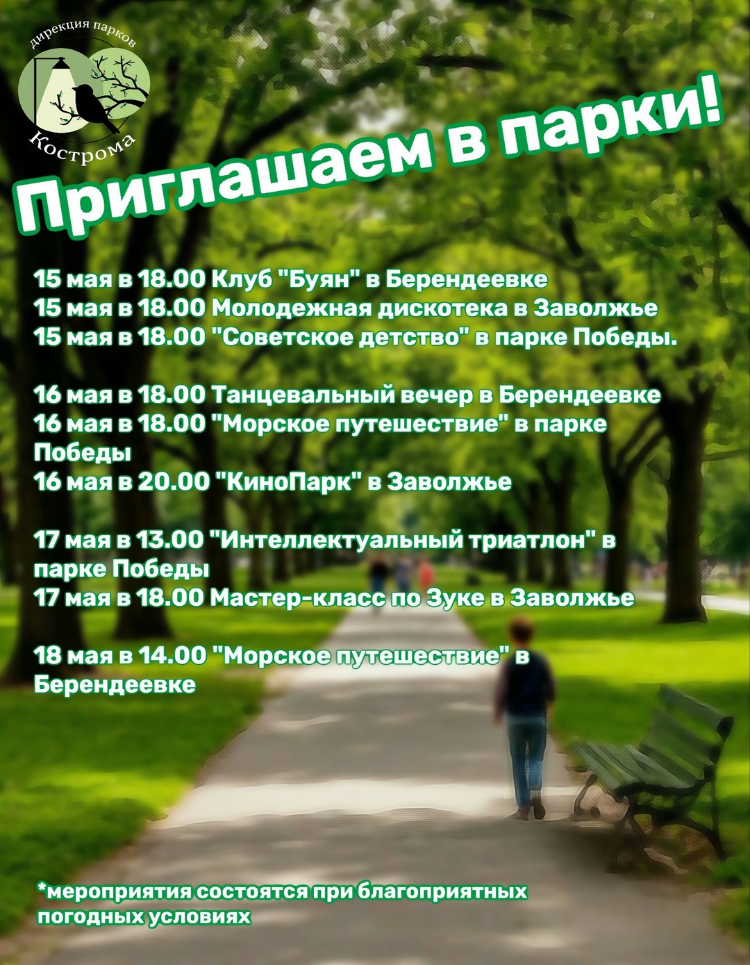 Дискотека, мастер-классы и кино: костромичей зовут отдохнуть под открытым небом