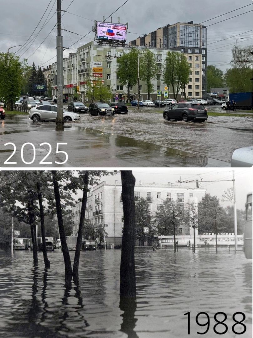 Не вброд, так вплавь: Кострома ушла под дождевую воду