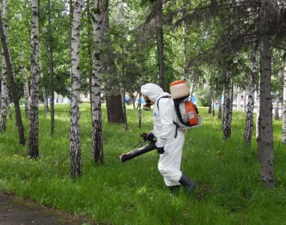 В Костроме завершился первый этап травли клещей
