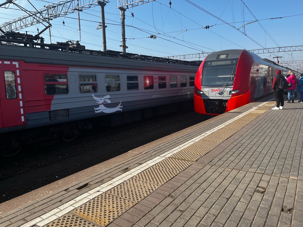 В Костромской области произошло жестокое нападение в поезде