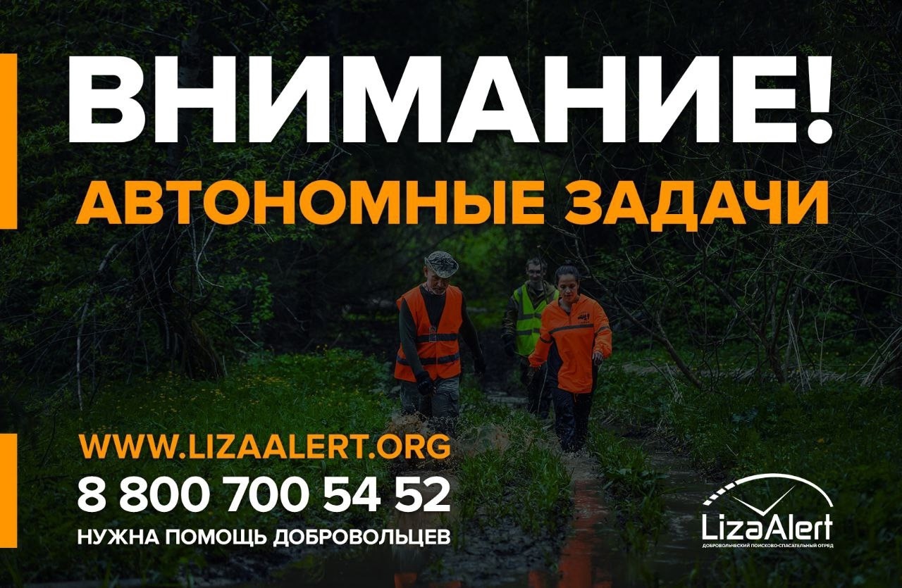 В костромских лесах ищут женщину