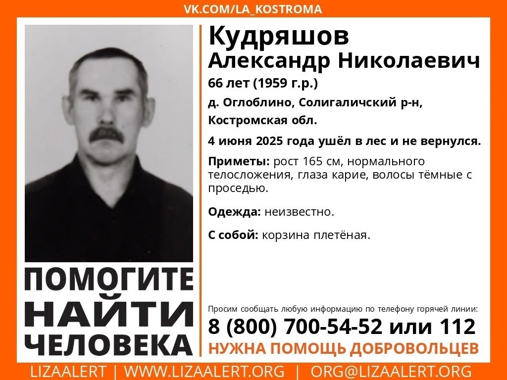 Усатого грибника разыскивают в костромских лесах второй день