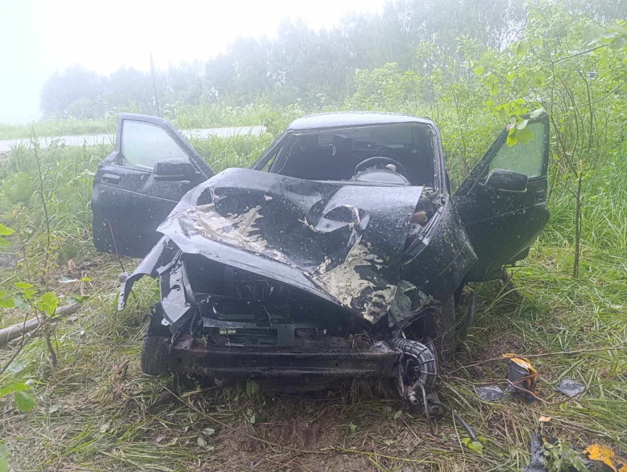 Водитель отечественного авто врезался в дерево на обочине костромской трассы