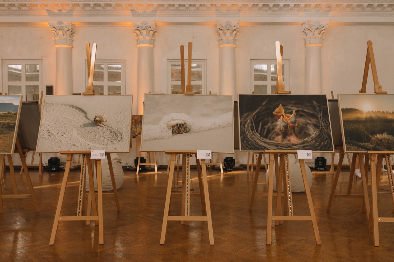 География добра: костромская выставка спасает жизнь