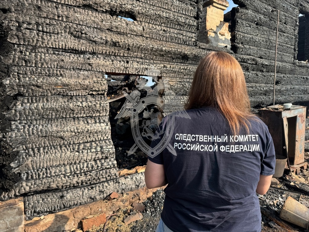 В костромской деревне Лебеди при пожаре погибла женщина