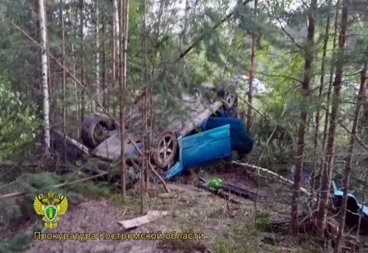 Два человека попрощались с жизнью из-за лося на костромской трассе
