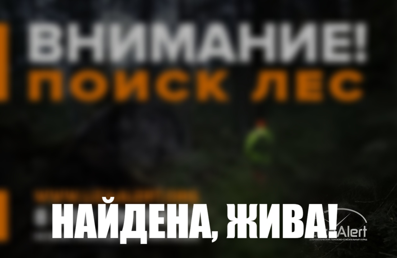 Пропавшую в костромских лесах женщину нашли живой