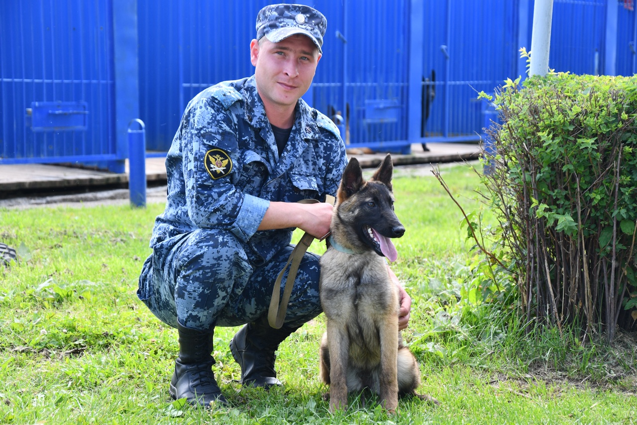 Дикси и Джерси: в костромскую колонию на службу прибыли щенки