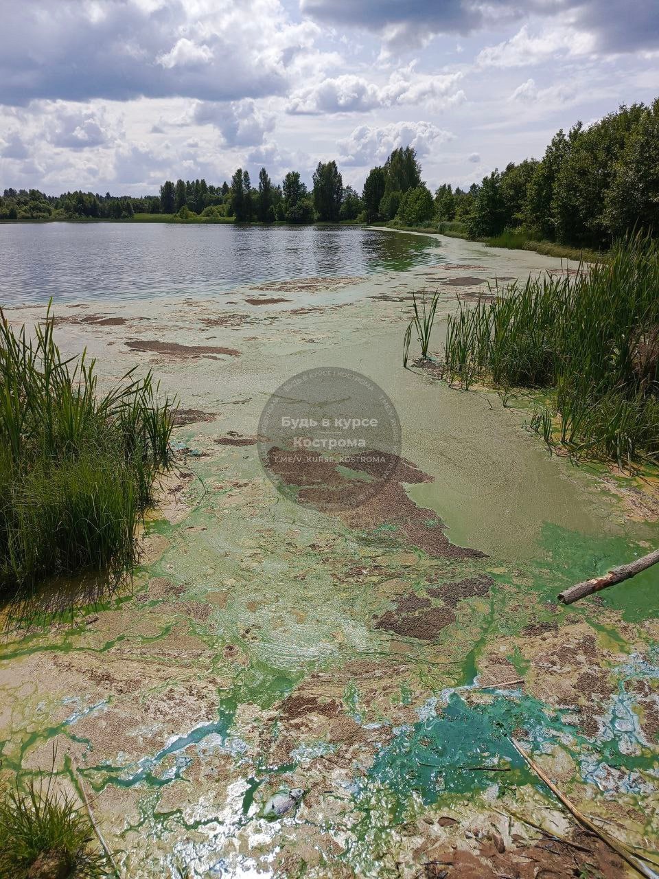 В озеро под Костромой сливают неизвестную жижу