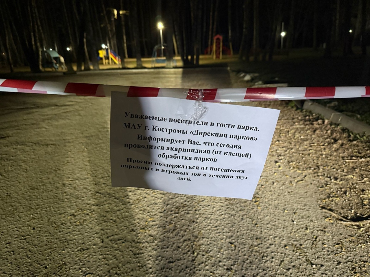 В Костроме парки стали временно опасны для посещения
