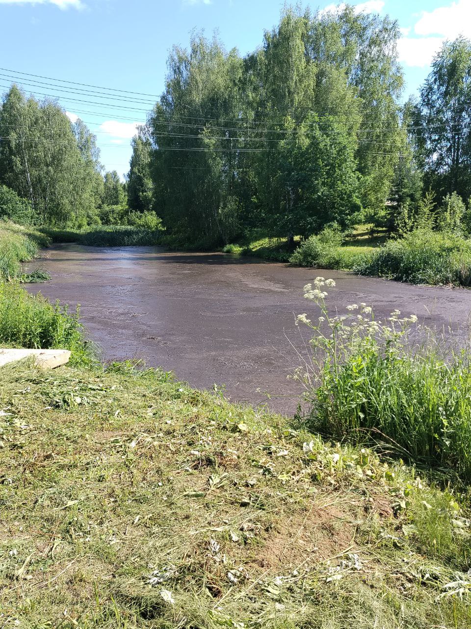 В озеро под Костромой сливают неизвестную жижу