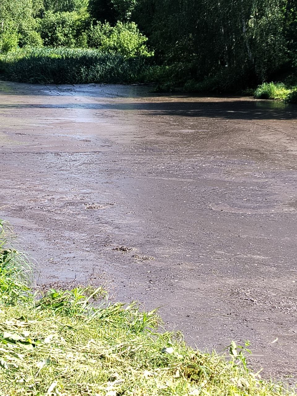 В озеро под Костромой сливают неизвестную жижу