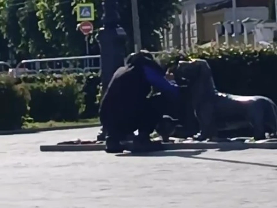 В Костроме полицейские поймали обокравшего пёсика Бобку