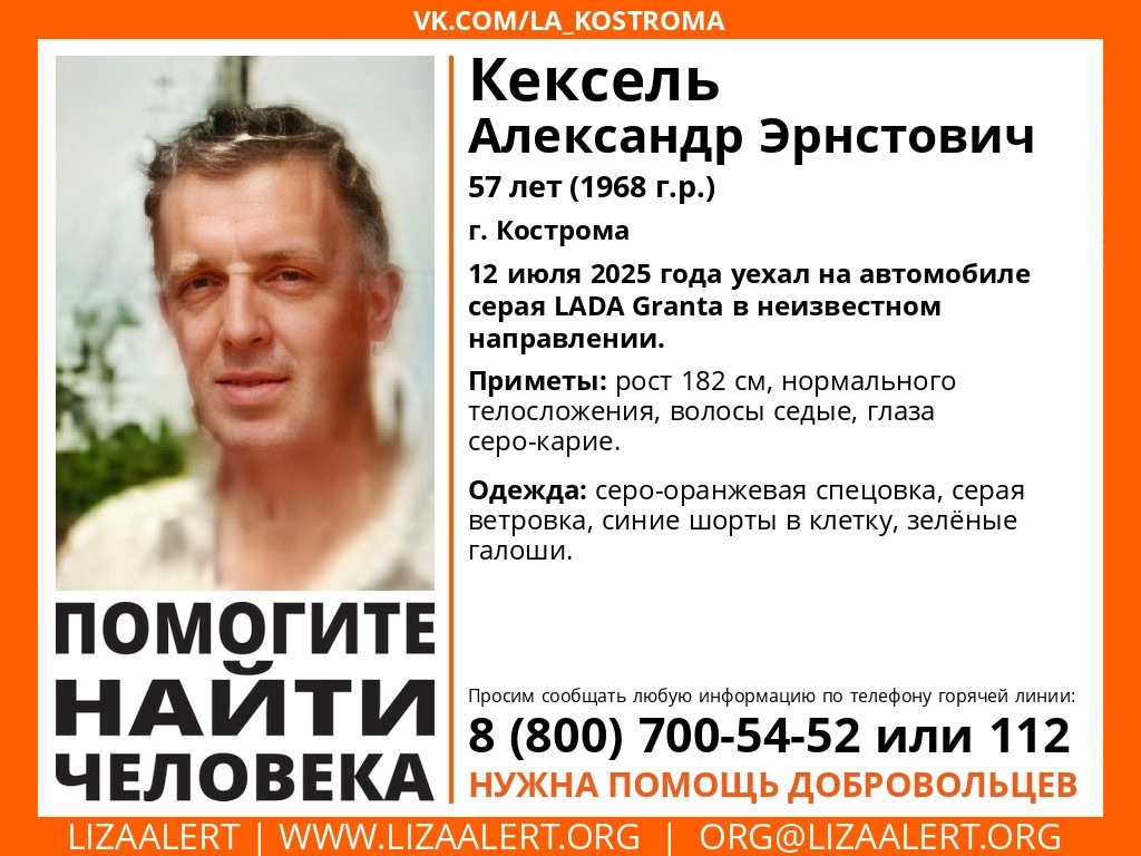 В Костроме ищут автомобилиста в зеленых галошах