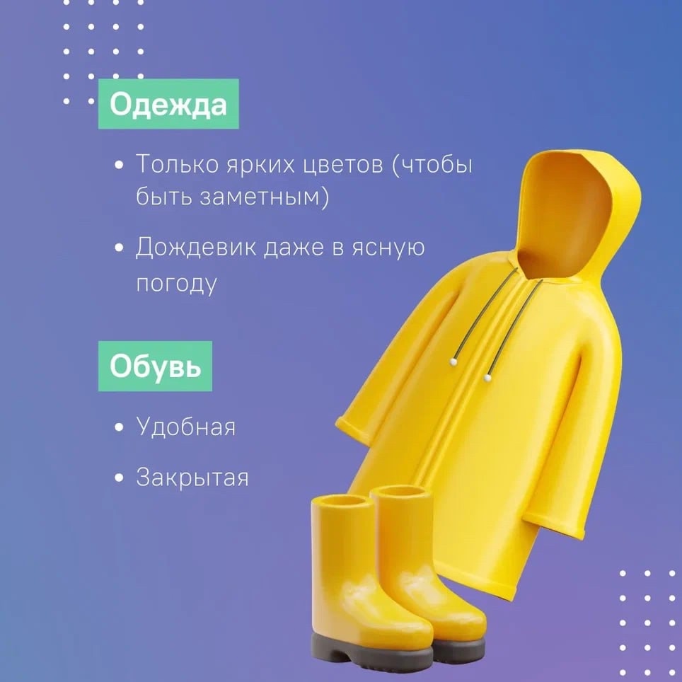 Костромичей предупреждают о риске потеряться в лесу