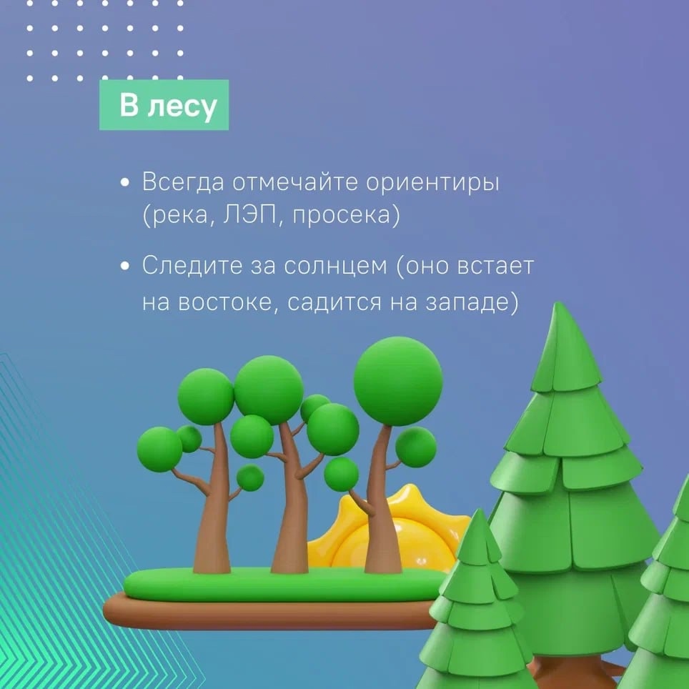 Костромичей предупреждают о риске потеряться в лесу