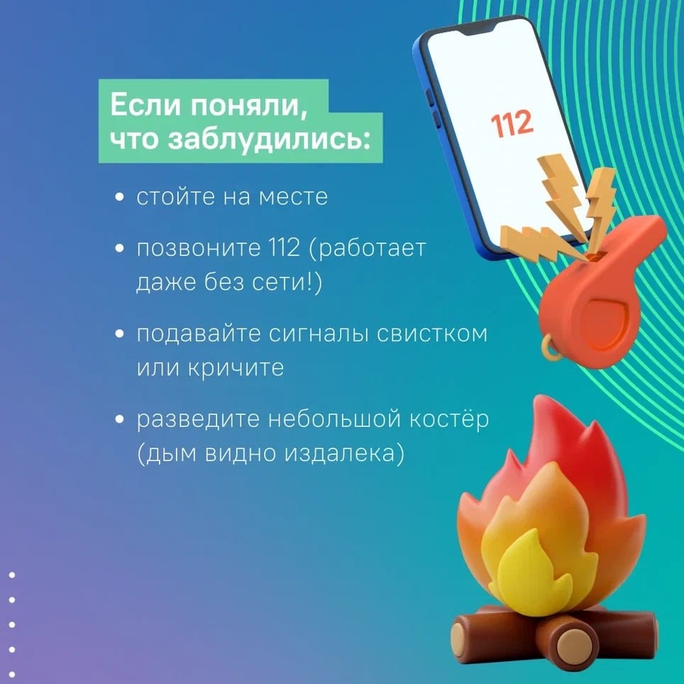 Костромичей предупреждают о риске потеряться в лесу