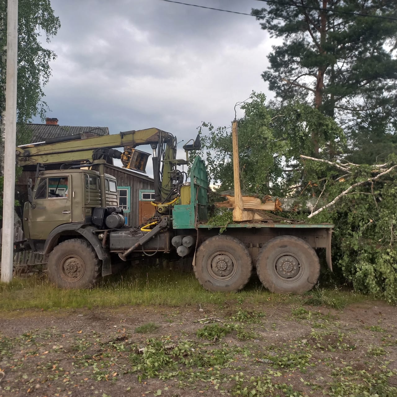 Сильнейший ураган повалил деревья в костромских поселках