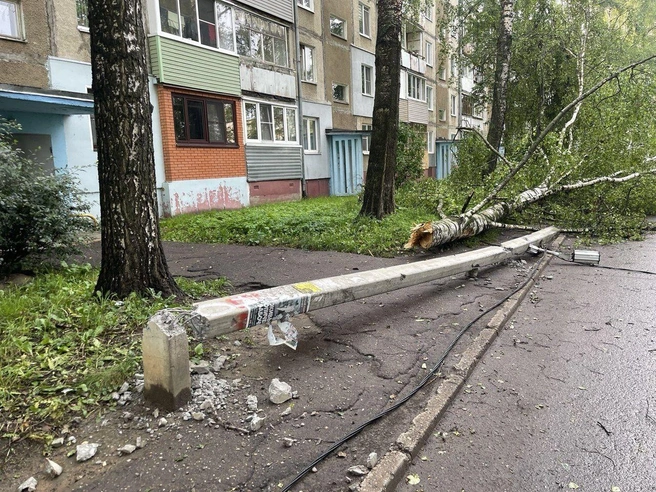 Кострома: в соседнем Ярославле на ребенка в грозу упали столб и дерево