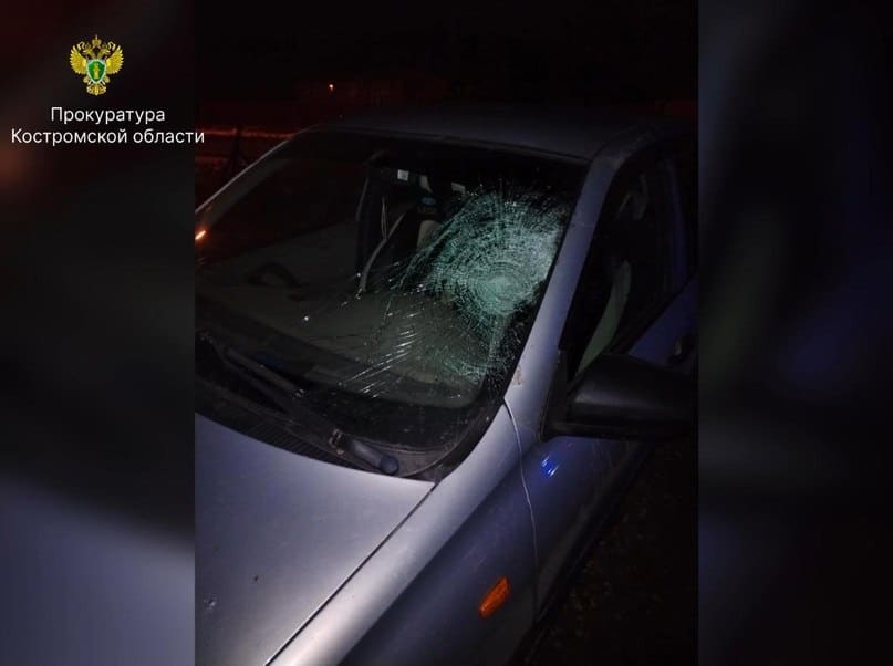 Полмиллиона рублей заплатит костромской автомобилист девочке за ее переломанные ноги