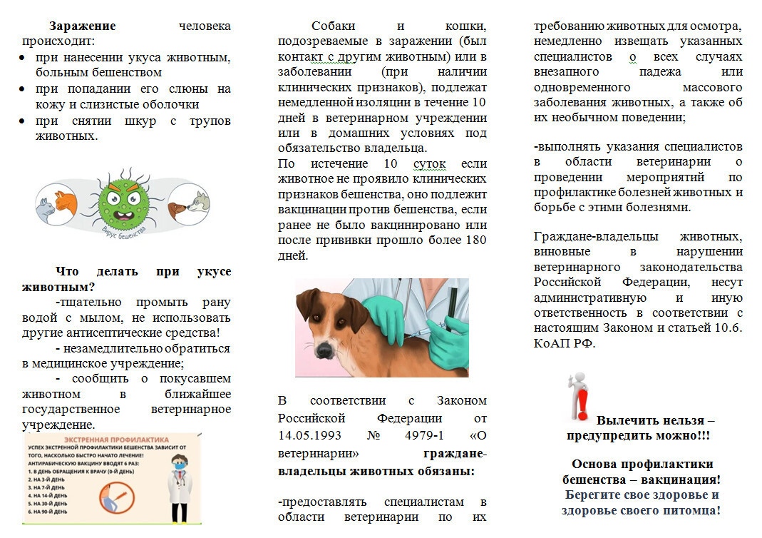 Костромские ветеринары просят немедленно сообщать о животных с бешенством