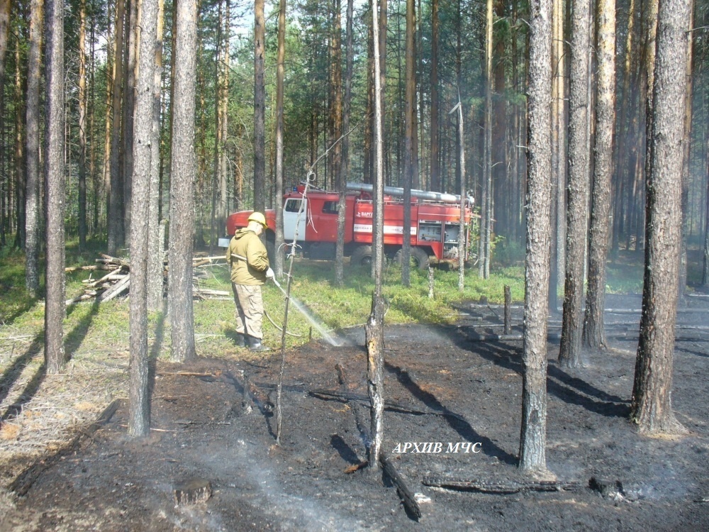 В Костромской области полыхает полтора гектара леса